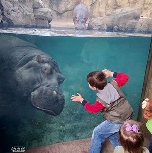 Meet your Posher, Wanda